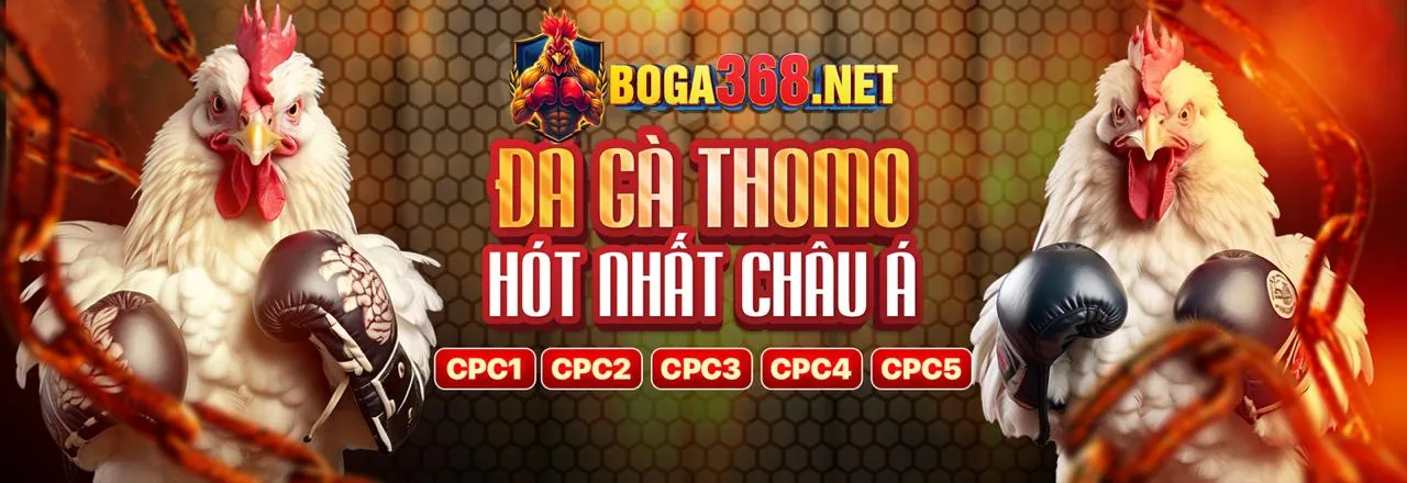 Tin tức xx88 bet mới nhất với các trò chơi và khuyến mãi hấp dẫn